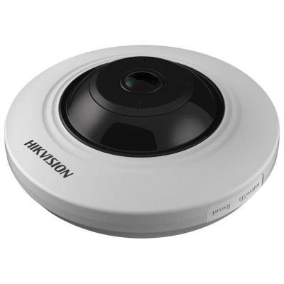 Hikvision DS-2CD2955FWD-IS 1,05mm