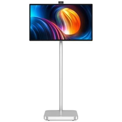 Monitory 28"-32"