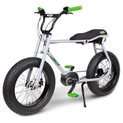 BLUETOUCH E-BIKE LIL'BUDDY šedé 300Wh